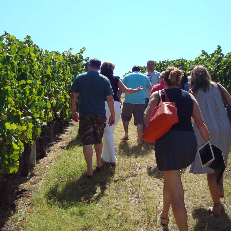 Greek Wine Tours